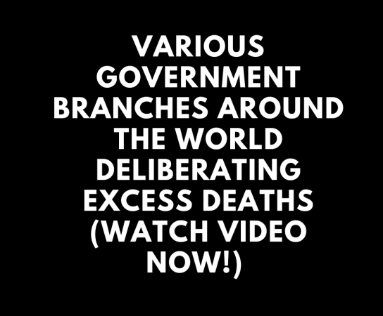 Various Government Branches Around The World Deliberating Excess Deaths